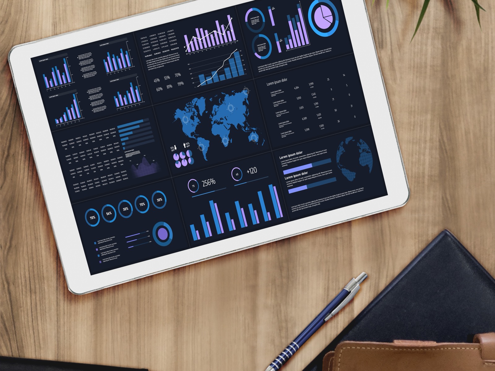 Data Services Image